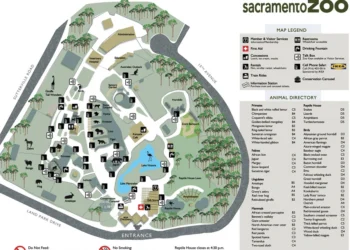 Family-Friendly Activities in Sacramento: The Ultimate Guide